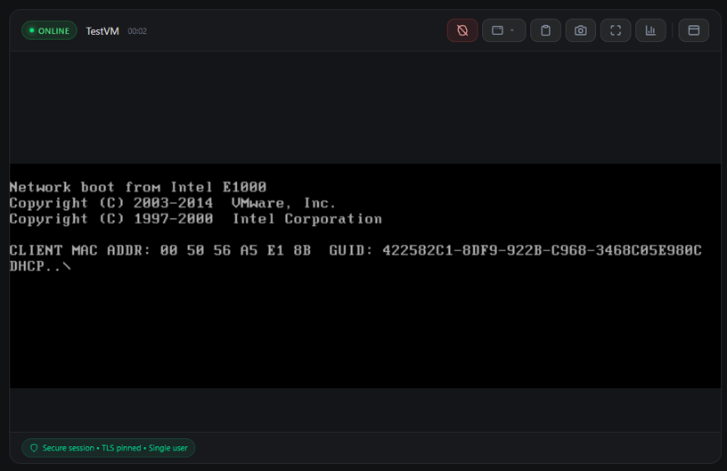 Example view: console of a VPS